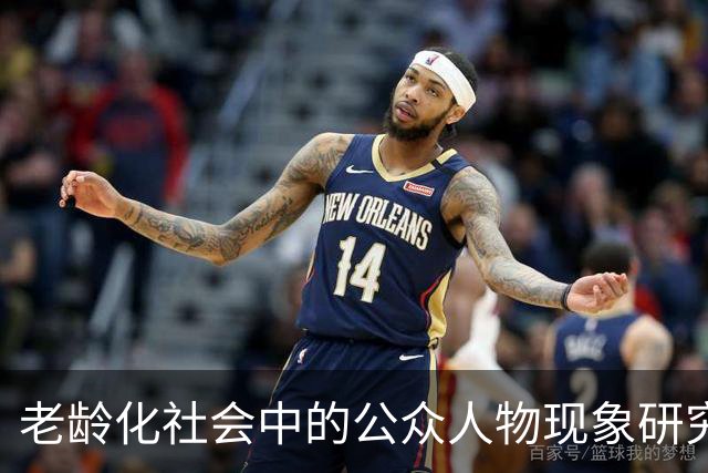 老龄化社会中的公众人物现象研究——以李小冉机场照片为例